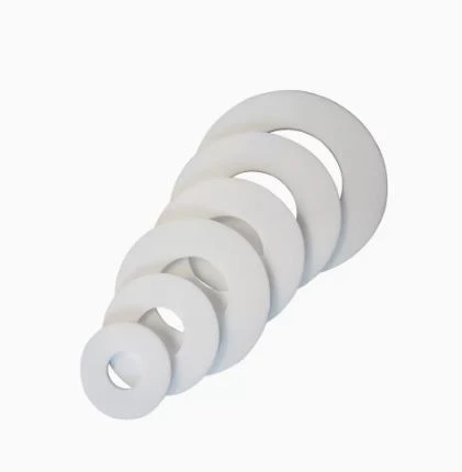 PTFE Gasket