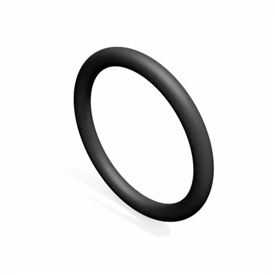 PTFE-O-Ringe